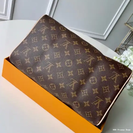 AAA Pruses Bags Louis Vuitton SPEEDY 30 0629